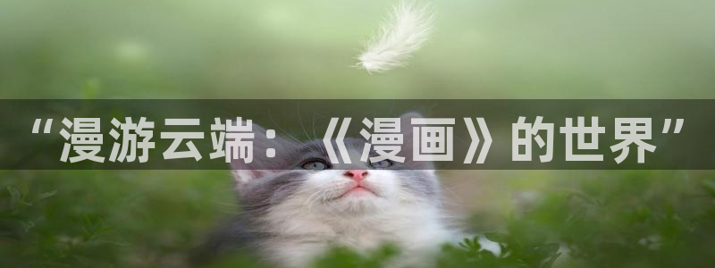 腐漫画网址：“漫游云端：《漫画》的世界”